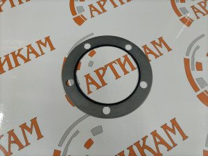 Прокладка сальника водяного насоса 4319273