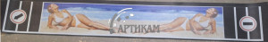 Брызговик длинномер цветной     рис  Девушка    белый купальник  2400*350мм