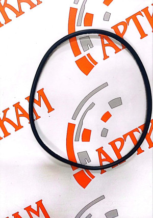 Кольцо помпы