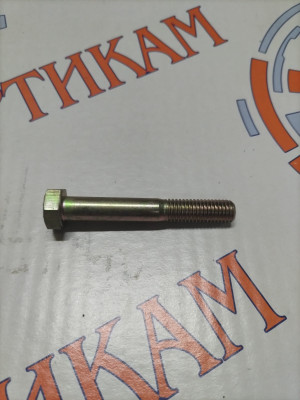 Болт M10*1,5*70 Без юбки ISBe