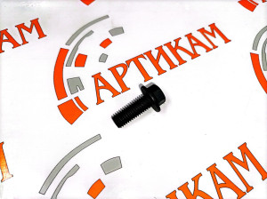 Болт M10*1,5*30 заднего корпуса шестерен, крепл. генератора ISBe,BT,ISLe,L,ISF3.8 3925344,