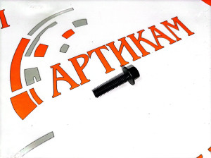 Болт М6*1,00*25 с фланцем и шестигр. головкой (креп-е трубопров/корп. терм.) ISF2.8, ISF3.8