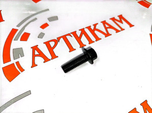 Болт М8*1,25*25 с фланцем и шестигран. головкой (шестер. р/в, помпы, форс.) ISBe, ISF3.8