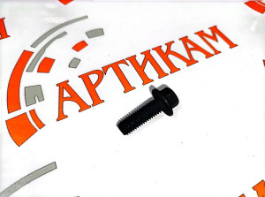 Болт М8*1,25*25 с фланцем и шестигран. головкой коллектор впуск.ISBe, поддон маслян. 4/6ВТ