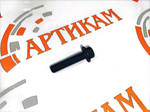 Болт M8*1,25*35 с фланцем и шестигр. головкой (крепление ТНВД) ISF2.8