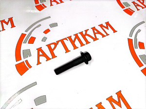 Болт М8*1,25*40 с фланцем и шестигр. головкой (крепления блока управления) ISBe Euro3,4
