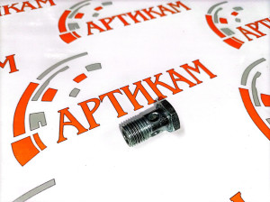 Болт-штуцер M14*1,5*26 ISG12 3924725