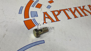 Болт-штуцер M 8*1,25*18 штуцер крепления форсунки охлаждения поршня ISBe,ISF3.8