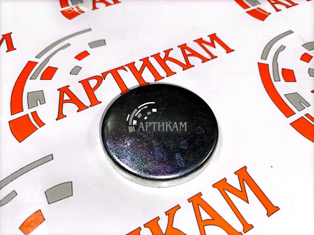 Пробка блока цилиндров 60 мм ISBe