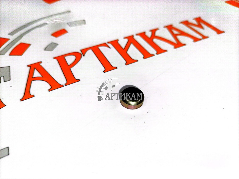 Пробка расширительная 10мм (заглушка ГБЦ) ISLe, L, QSL