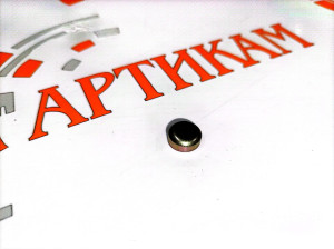 Пробка расширительная 10мм (заглушка ГБЦ) ISLe, L, QSL