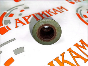 Сальник клапанов выпускных (12шт идет на машину) ISG12