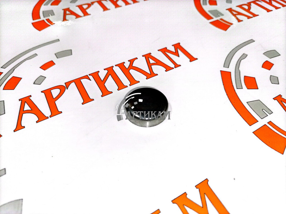 Пробка блока цилиндров 25 мм ISG12